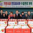 거창사과 이미지
