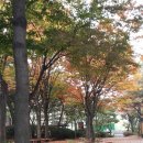 파주시립 금촌도서관 네이버블로그