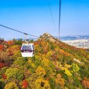 제41차 1박2일(10.29목~30금) 월출산 여행산행 안내 이미지