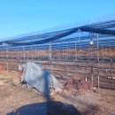 이완기농장 이미지