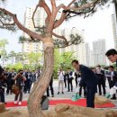 세종청사 4동 이미지