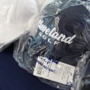 버디스크린 골프존 이미지