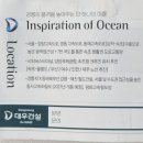 드마레 이미지