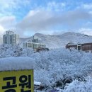 덕현초 앞 이미지