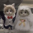 3445 | w1. 와이즈웨딩 김수지플래너 방문상담 후기 (계약O)