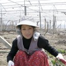 오늘반찬 이미지