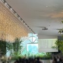 가장로 | 청주 결혼식장 아름다운웨딩홀 하객 후기 뷔페 주차정보 밝은홀 추천