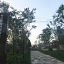 서소문역사공원 이미지