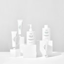 스텔라이 이미지