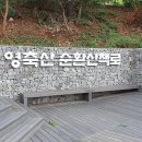 영축산 산책로 이미지