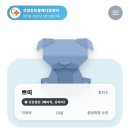 울산 강일웅동물메디컬센터 이미지