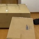 도쿄 일상 0화 | 도쿄 워홀 시작 | 입주 당일 부동산 가기 전 꿀팁 | 일본집 전등 다는 법