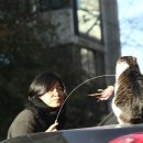 나와고양이 이미지