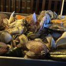 닭두꺼비 이미지