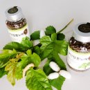 기역농장 이미지