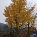 숙암단임입구 네이버블로그