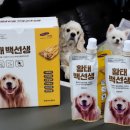 찹찹 펫푸드 이미지