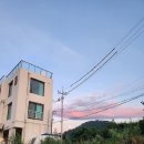 보헤미안 애월 이미지