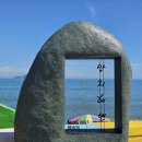 바바라 발리 이미지