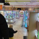 인생뽑기 | 삿포로 실내 놀 거리, 할 거 없을 때/ 라운드 원 프리쿠라 후기/ 삿포로 인생 네 컷, 인형 뽑기