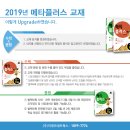 메타플러스
