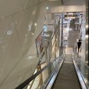 롯데백화점광복점 이미지