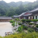 대원사 Daum카페