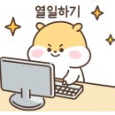 광주풍향초등학교 이미지