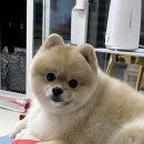 향촌휴먼시아2단지 이미지