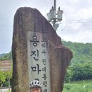 라온 Daum카페