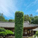김봉호가옥 | 아이와 전통 한옥 산책 김봉호가옥 방문기