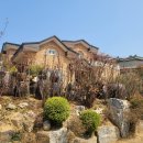 다래 전통찻집 이미지