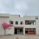 채널 트웰브 이미지