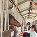 한성농장2 이미지