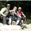 중봉민박 이미지