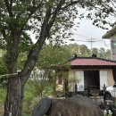 진희농장 이미지