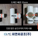 라온엘 이미지