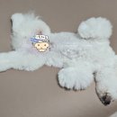 모모그루밍 이미지