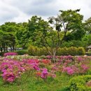 인천대공원 네이버블로그