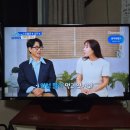 260826-카무트효소,소화효소 이미지