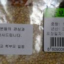 외궁초등학교 이미지