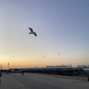 오이도수산