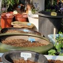 (주)비아나 이미지