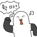 탐스짐 이미지