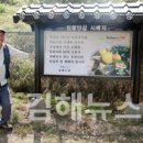 조영환농장 이미지