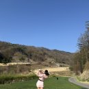 R&T GOLF | 저압축골프공 추천 NEW티코어52 티코어제로볼 베뉴지CC 벚꽃라운딩 후기 비거리골프공 인정