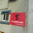 이수연 헤어