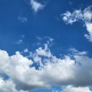 (주)에클로게 이미지