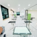 스카이애견 이미지