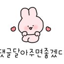 닭다릿들 이미지